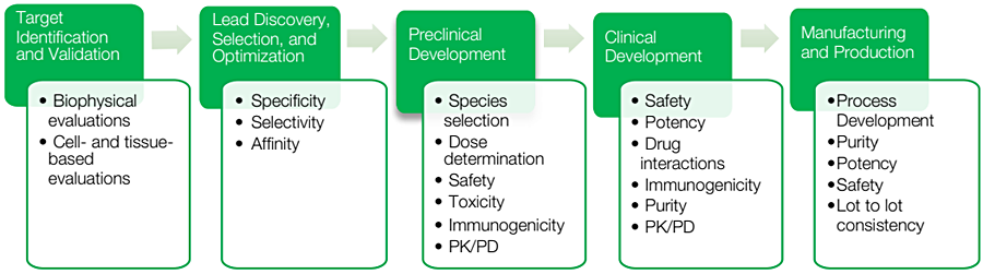 Parameters for consideration during the therapeutic antibody development process.