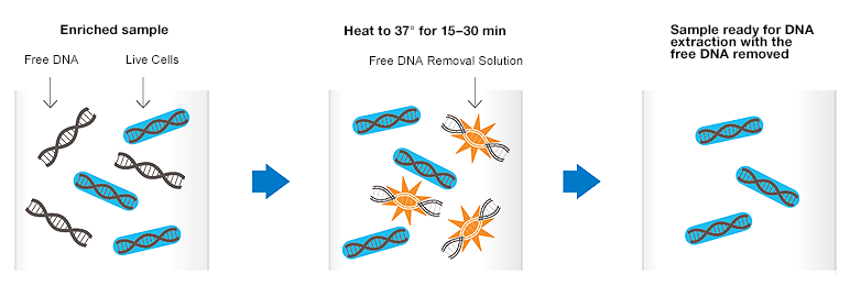 Free DNA Solution