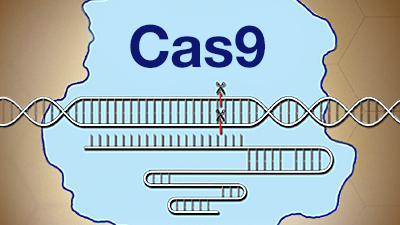 Life Science Education CRISPR Resources