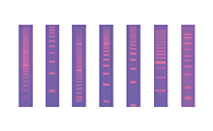 Nucleic Acid Rulers/Ladders
