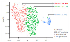 T-SNE dot plot graph depicting three separated collection of data points representing different populations