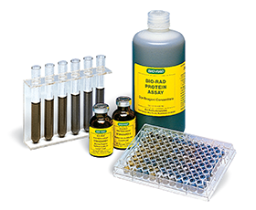 Bio-Rad Bradford protein assay kit