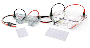 Horizontal Electrophoresis Systems Life Science Research Bio Rad