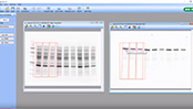 Image Lab Software Tutorial: Densitometric Data Normalization - image