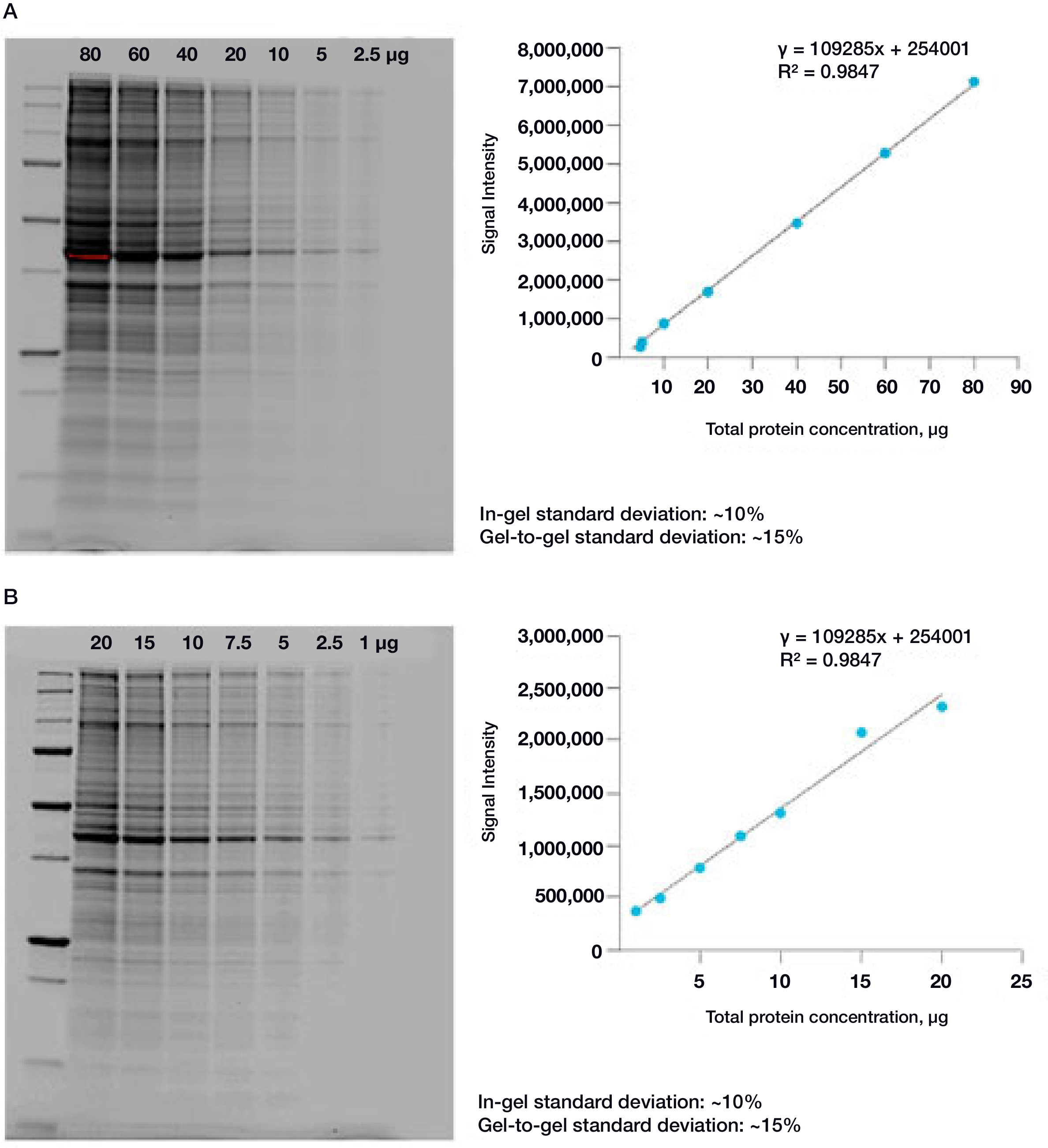 bio rad western blot protein concentration