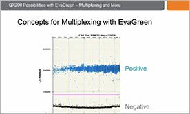 Droplet Digital PCR Assays: How to Design a Multiplex Experiment with EvaGreen