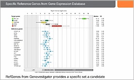 Learn Why You Might Be One of the 90% Using Unsuitable qPCR Reference Genes